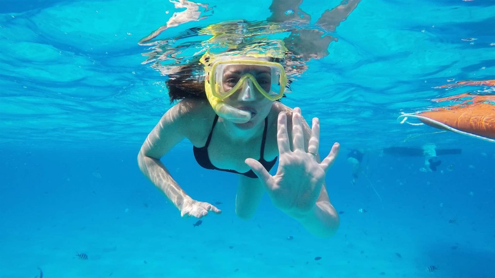 Hol Chan and Shark Ray Alley Shared Snorkeling Tour from Belize City Belize tour photo